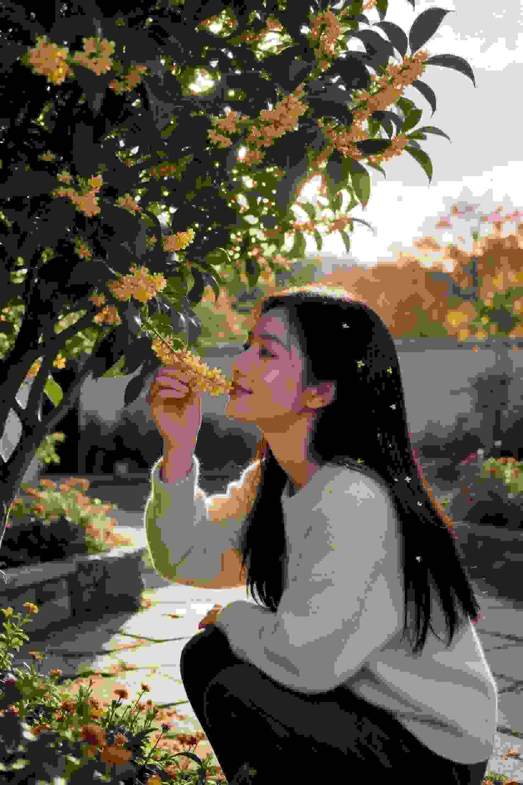 诱饵之花